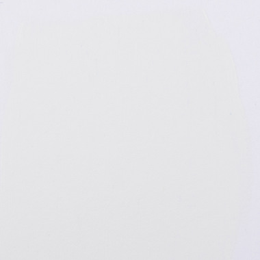 DARWI Peinture acrylique 75ml DF5150075010C Blanc titane