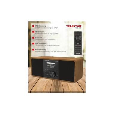 Telestar Radio Internet TOP 250 Brun