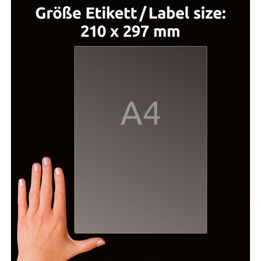AVERY ZWECKFORM Adressetiketten 210x297mm L7567-25 Laser, transp. 25Stk./25Bl.