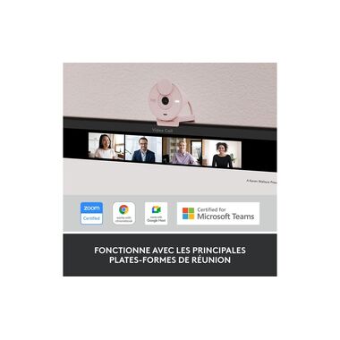 Logitech Webcam Brio 300 Rose
