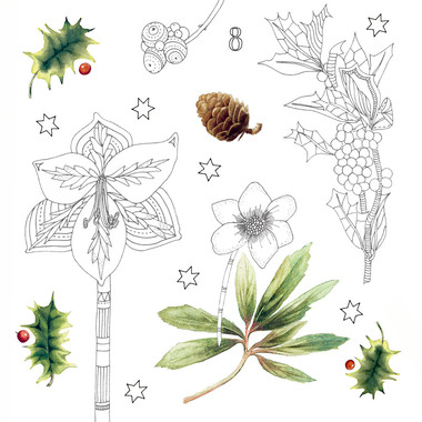 COPPENRATH Calendario dell'avvento creat 95312 Meraviglioso mondo invernale