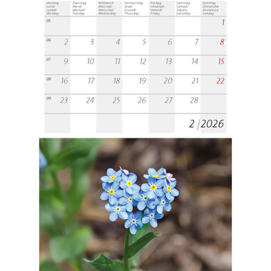CALENDARIA Calendrier 2026 9783036205397 Alpenblumen ML 14.8x22cm