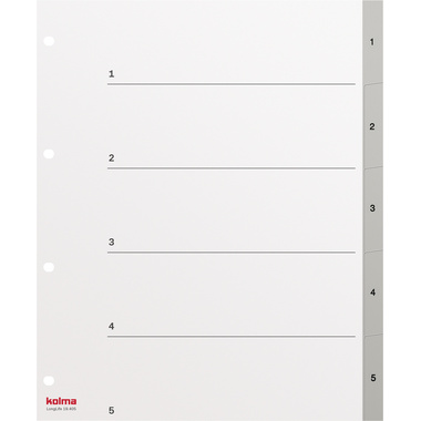 KOLMA Register LongLife A4+ 19.405.03 grau 1-5