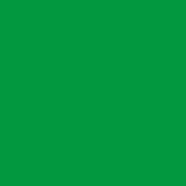 TALENS Tempera 1000ml 09716020 verde