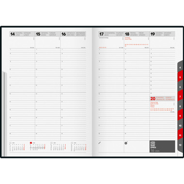 RIDOIDE Studioplan International 2026 7023016306.26 1W/2S blau ML 16.8x24cm