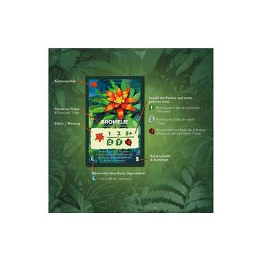 Kosmos gioco da tavolo per famiglie Baumkronen