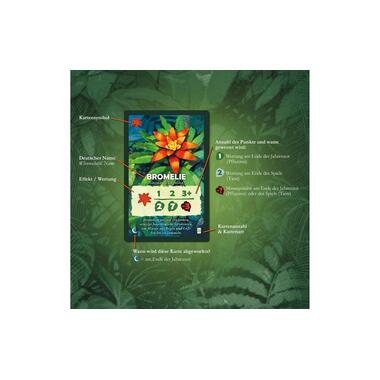 Kosmos family game Canopy