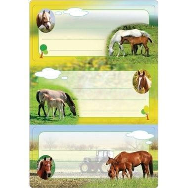 HERMA Etiquettes école 5568 sujet 6 pcs.