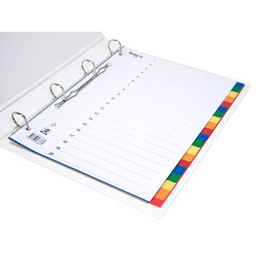 BIELLA Register PP A4+ 47902000U farbig 20-teilig
