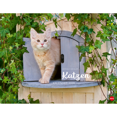 HEYE Bildkalender 2026 23165+26 Wegler Katzen DE 44x34cm