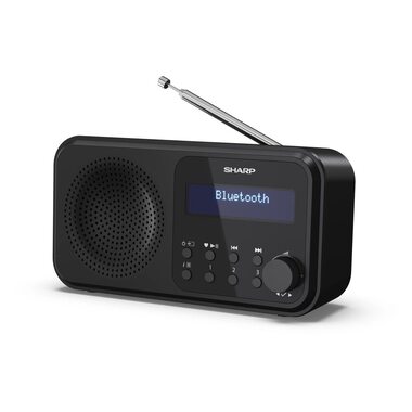 Sharp DR-P420 Portatile Digitale Nero