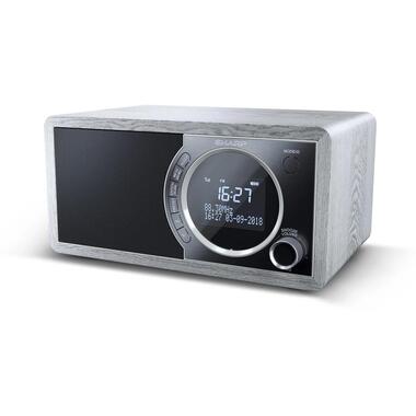 Sharp DR-450 Persönlich Digital Grau, Edelstahl