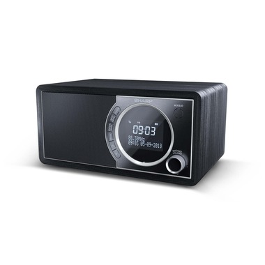 Sharp DR-450 Personnel Numérique Noir, Acier inoxydable