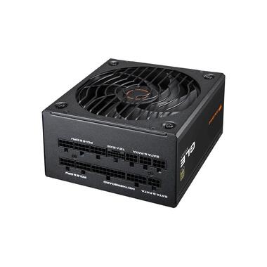COUGAR Netzteil GLE 1000W ATX3.1 / 80 Plus Gold