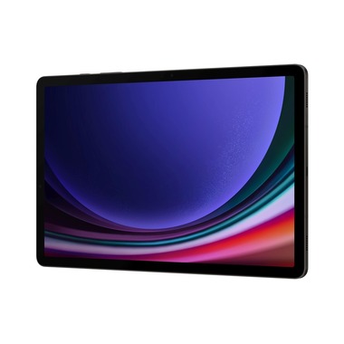 Samsung Galaxy Tab S9 SM-X716B 5G Snapdragon 256 GB 27,9 cm (11") 12 GB Wi-Fi 6 (802.11ax) Android 13 Graphit